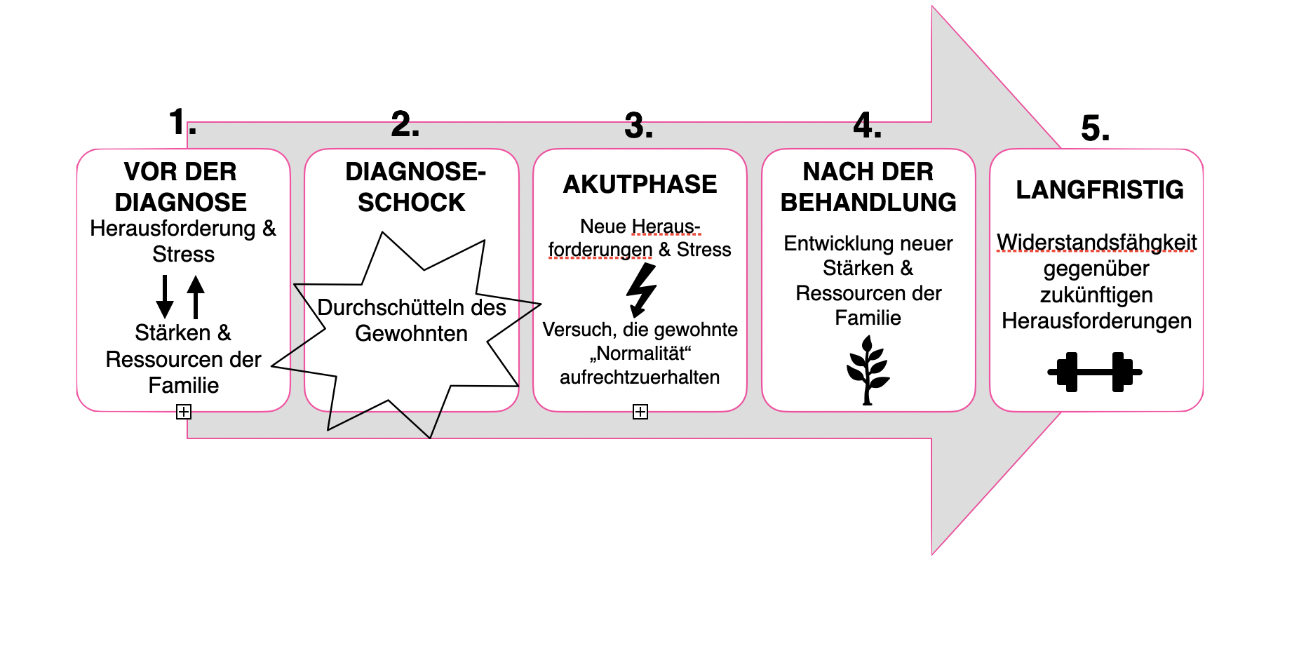 Grafik: Phasen im Coaching in Diagnosen